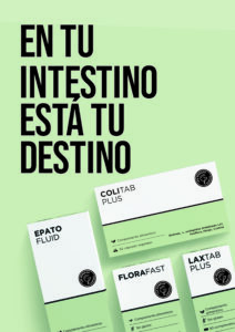 LASGEMELAS_FOAM3